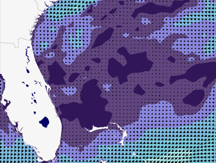 Wave Model Wind Forecast