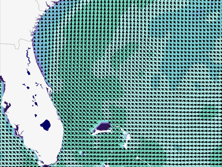 Wave Model Wind Forecast