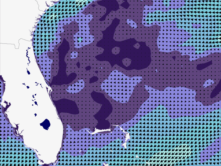 Wave Model Wind Forecast