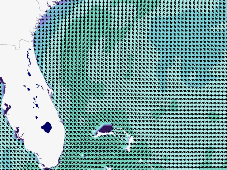 Wave Model Wind Forecast