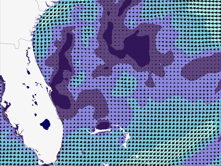 Wave Model Wind Forecast