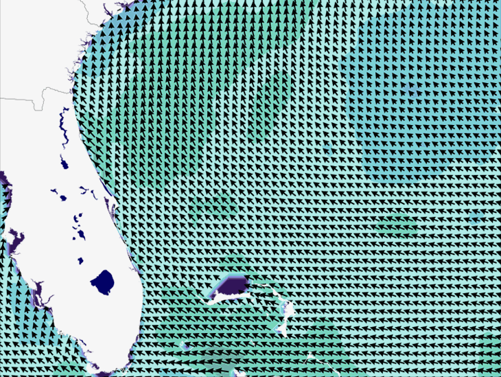 Wave Model Wind Forecast