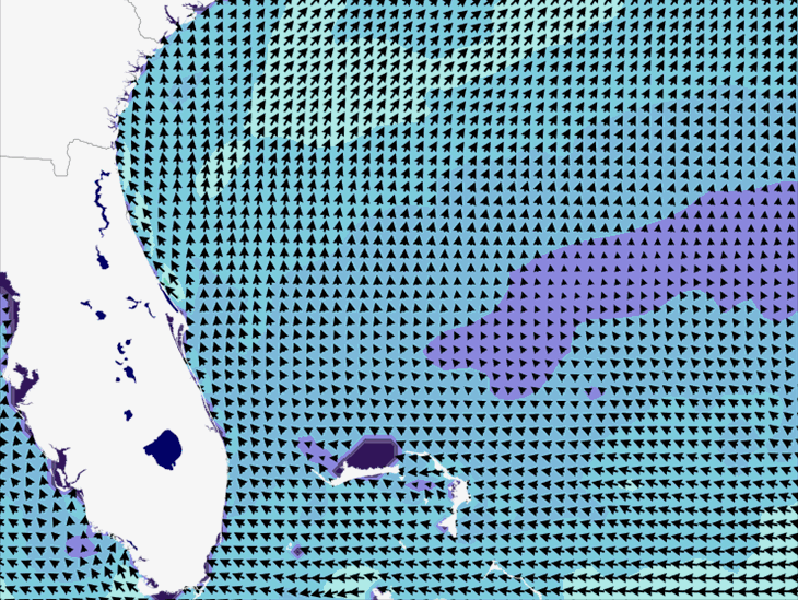 Wave Model Wind Forecast