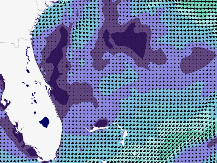 Wave Model Wind Forecast