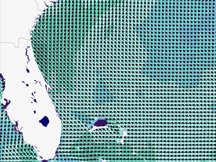 Wave Model Wind Forecast