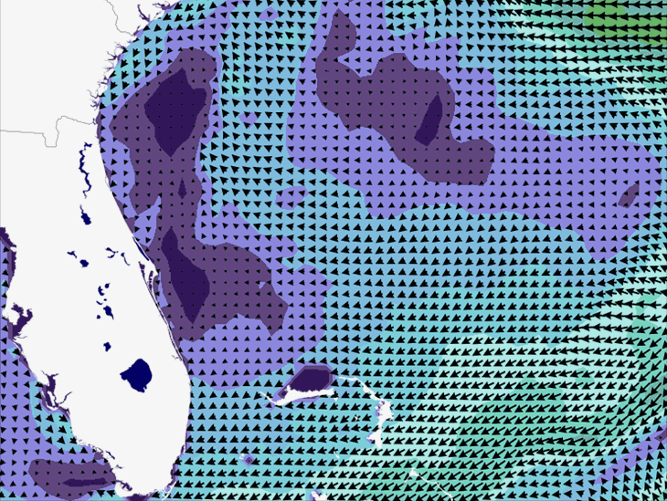 Wave Model Wind Forecast