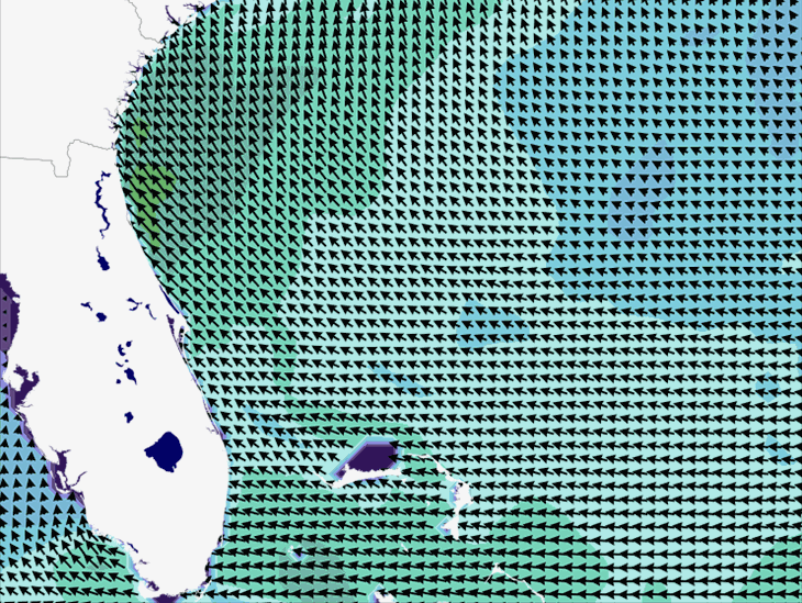 Wave Model Wind Forecast