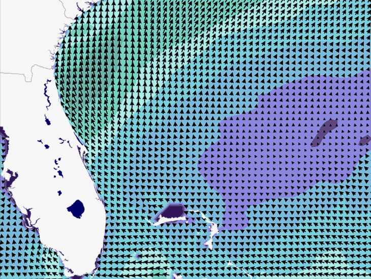 Wave Model Wind Forecast
