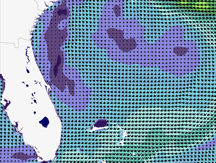 Wave Model Wind Forecast