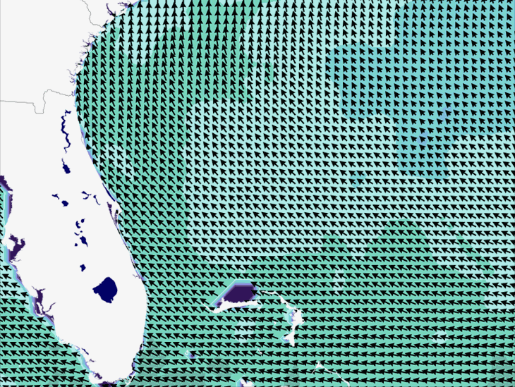 Wave Model Wind Forecast