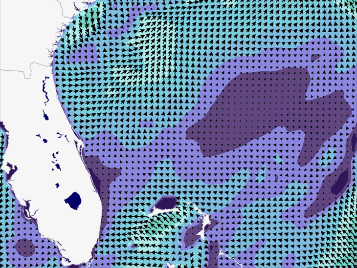 Wave Model Wind Forecast