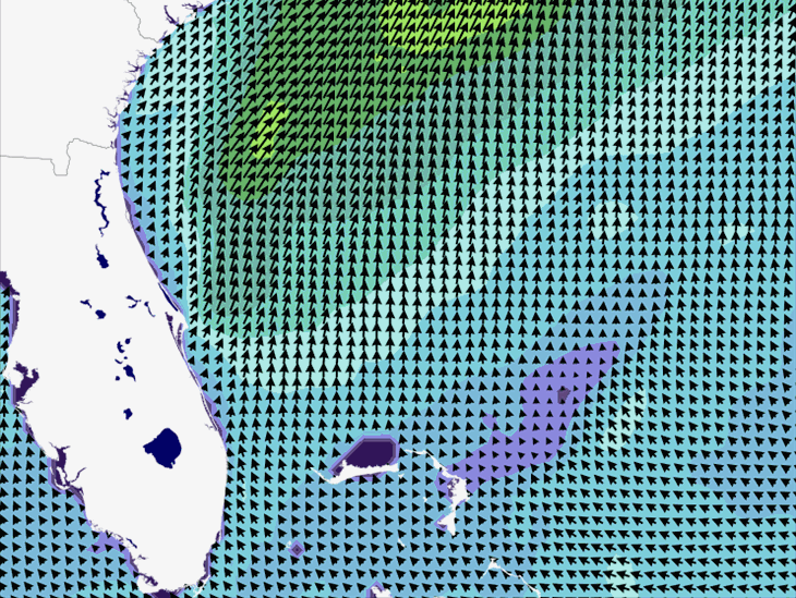 Wave Model Wind Forecast