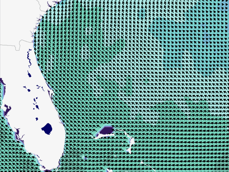 Wave Model Wind Forecast