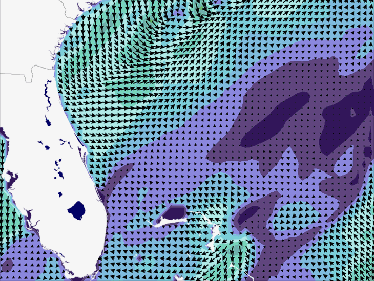 Wave Model Wind Forecast