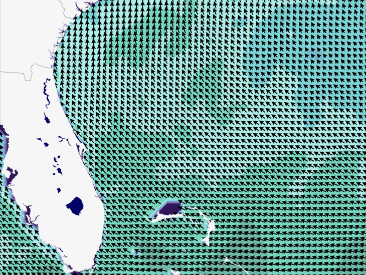 Wave Model Wind Forecast