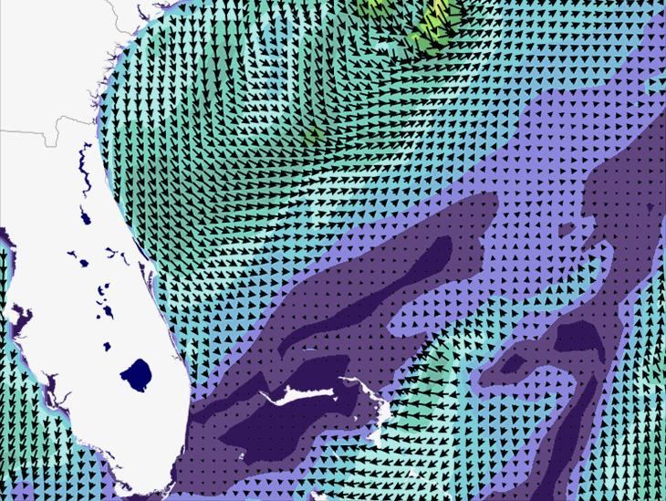 Wave Model Wind Forecast