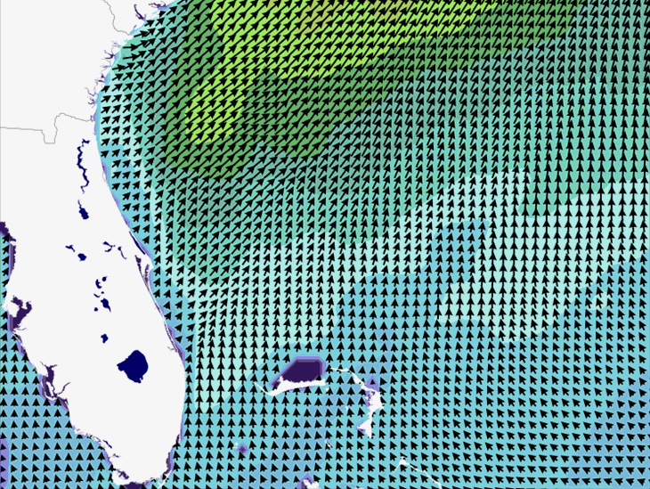 Wave Model Wind Forecast