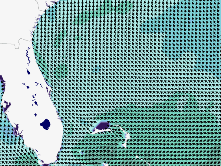 Wave Model Wind Forecast