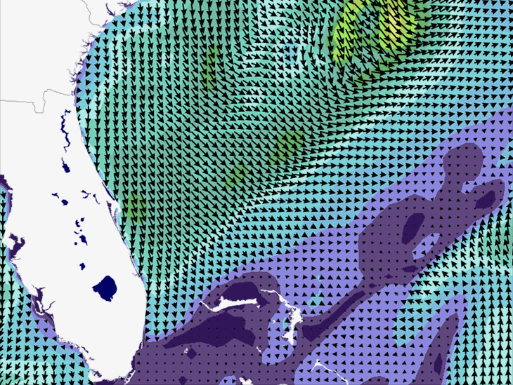 Wave Model Wind Forecast