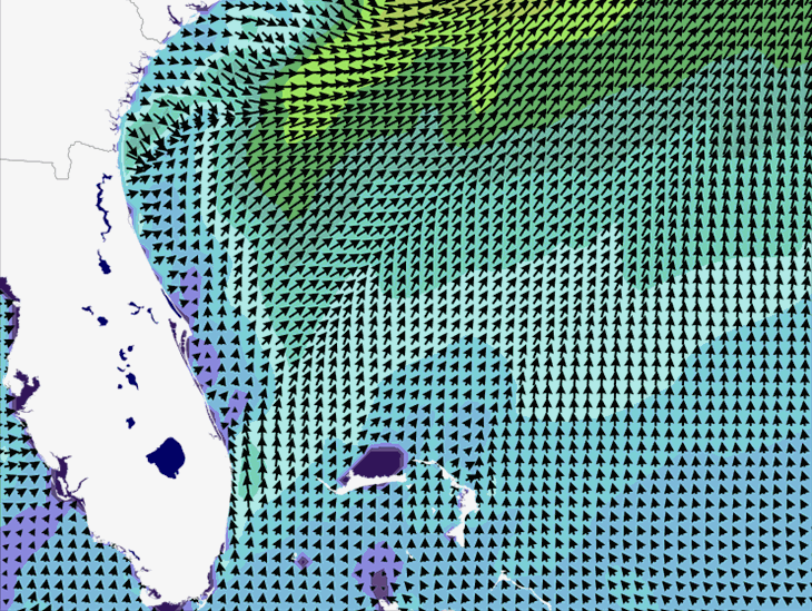 Wave Model Wind Forecast