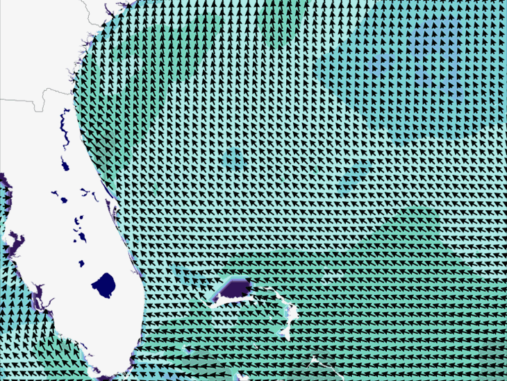 Wave Model Wind Forecast
