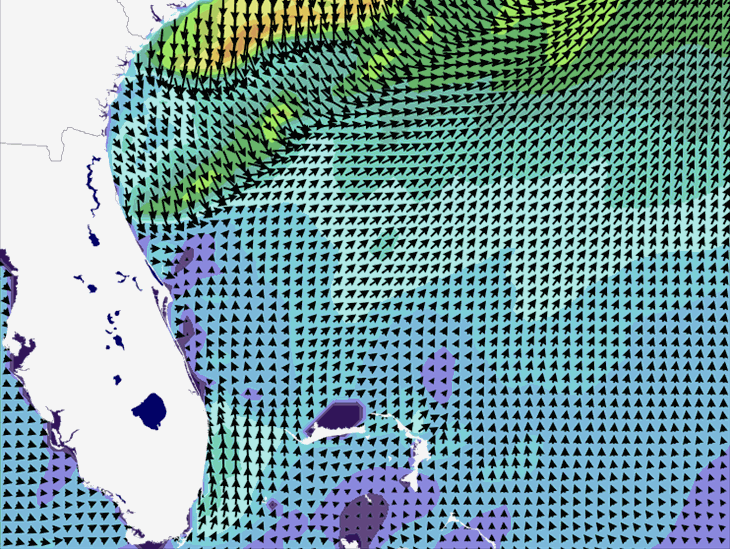 Wave Model Wind Forecast