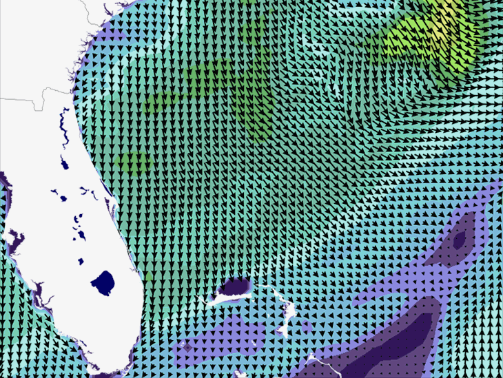 Wave Model Wind Forecast
