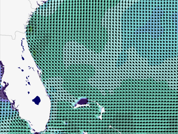 Wave Model Wind Forecast