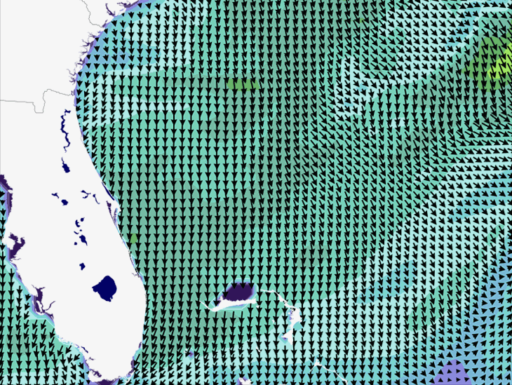 Wave Model Wind Forecast
