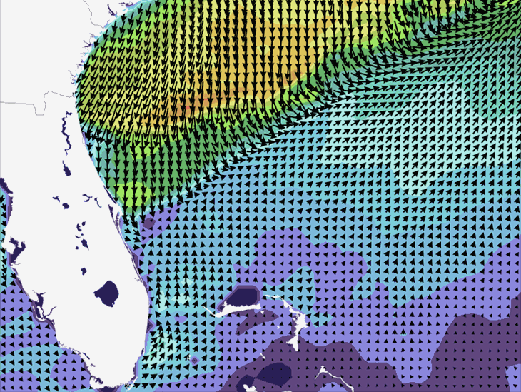 Wave Model Wind Forecast