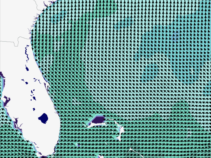 Wave Model Wind Forecast