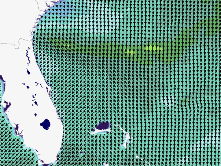 Wave Model Wind Forecast