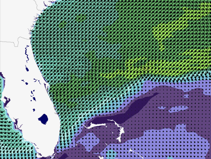 Wave Model Wind Forecast