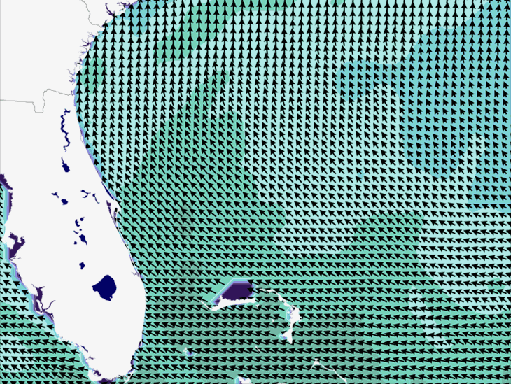 Wave Model Wind Forecast