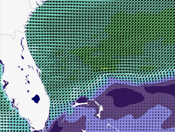 Wave Model Wind Forecast