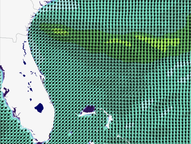 Wave Model Wind Forecast