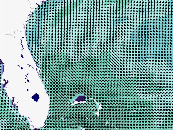 Wave Model Wind Forecast