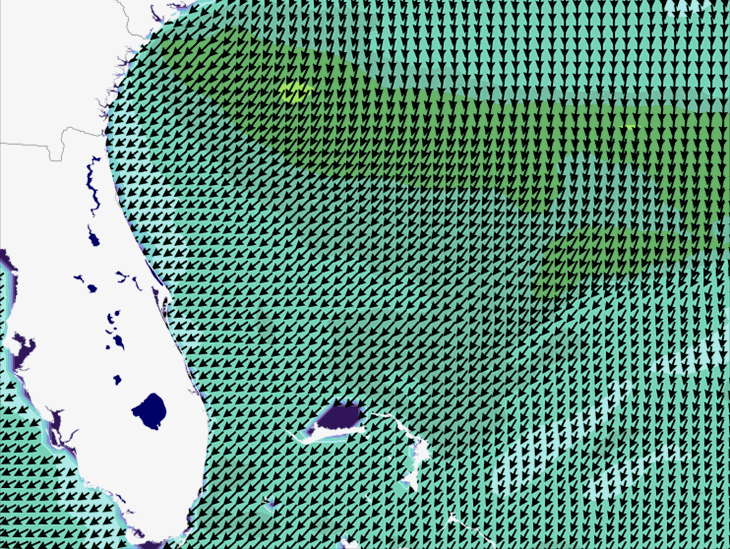 Wave Model Wind Forecast