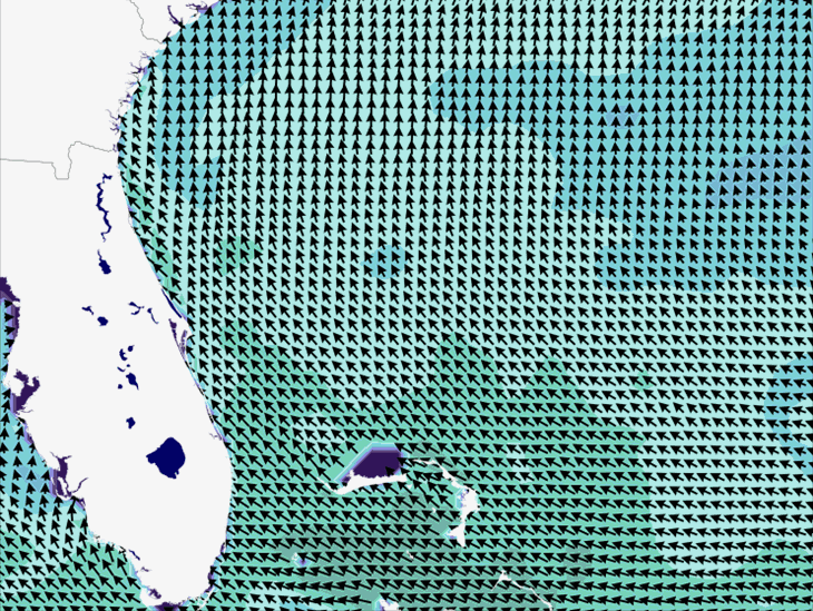 Wave Model Wind Forecast