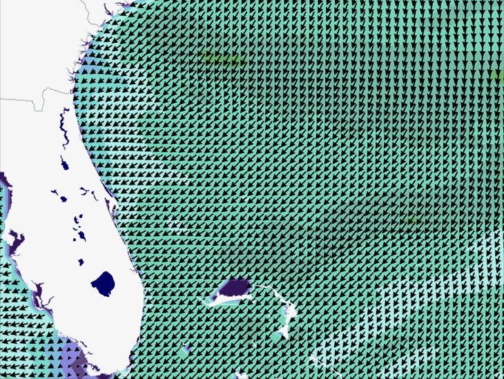 Wave Model Wind Forecast