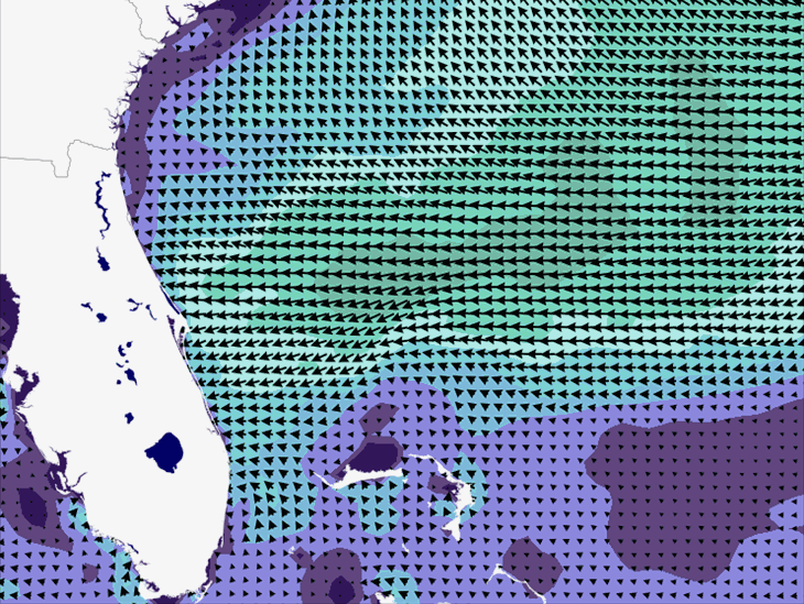 Wave Model Wind Forecast