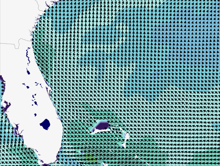 Wave Model Wind Forecast
