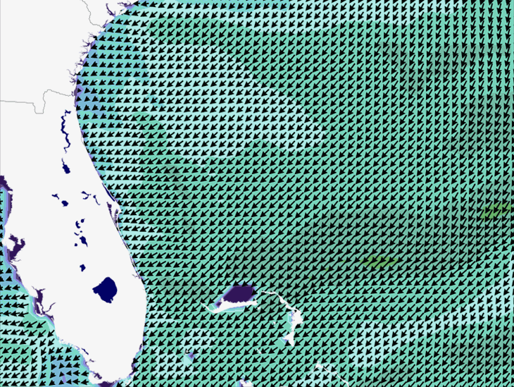 Wave Model Wind Forecast