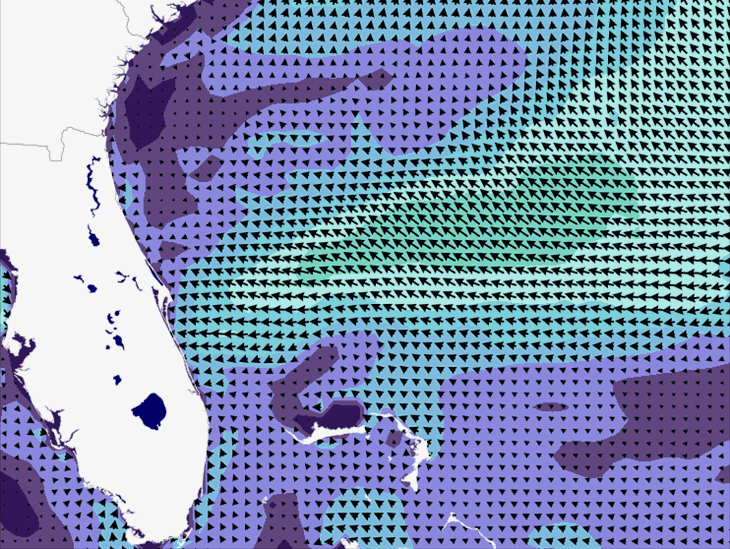Wave Model Wind Forecast