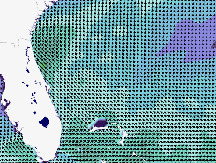 Wave Model Wind Forecast