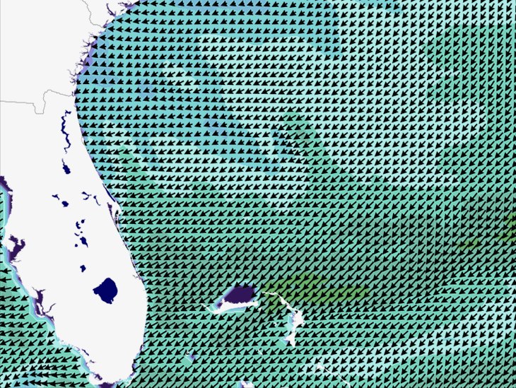 Wave Model Wind Forecast