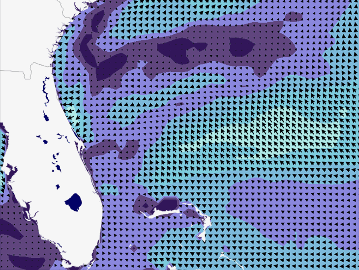 Wave Model Wind Forecast
