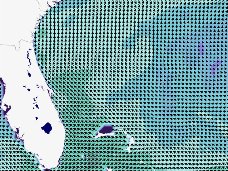Wave Model Wind Forecast
