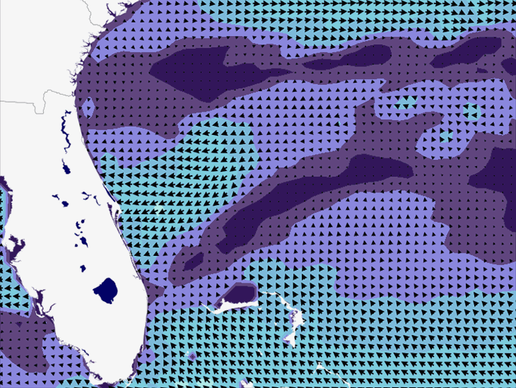 Wave Model Wind Forecast