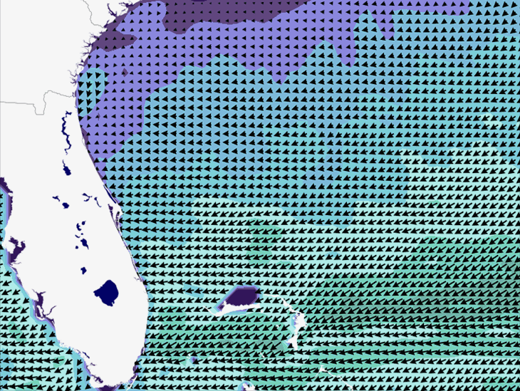 Wave Model Wind Forecast